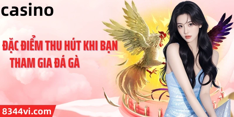 Hình ảnh quảng cáo của ta28 hiển thị nền tảng và các lợi ích