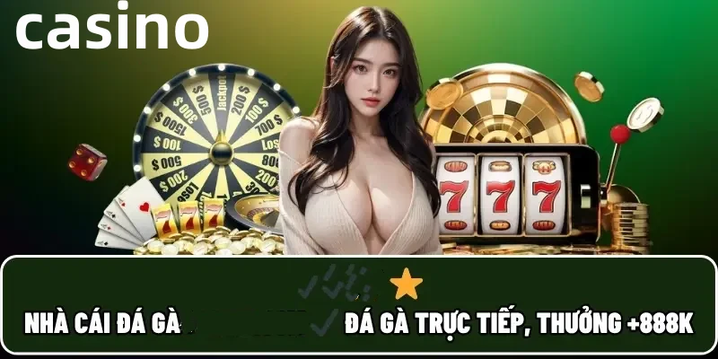 Hình ảnh quảng cáo của ta28 hiển thị nền tảng và các lợi ích
